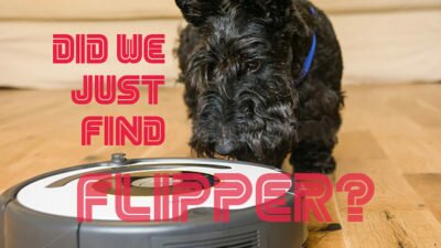 flipper